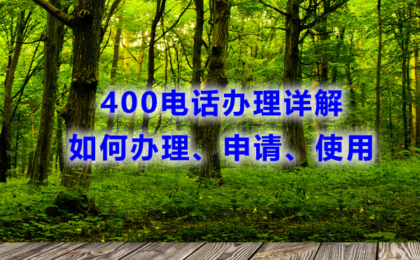 400电话办理详解，如何办理申请使用